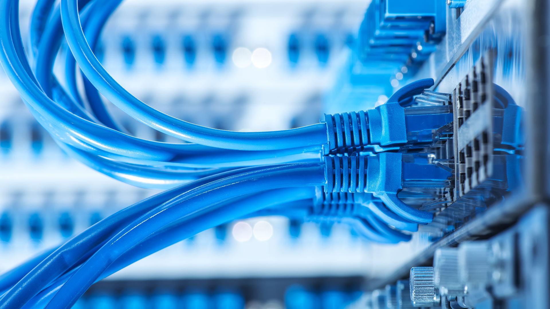 Nahaufnahme mehrerer blauer Ethernet Kabel