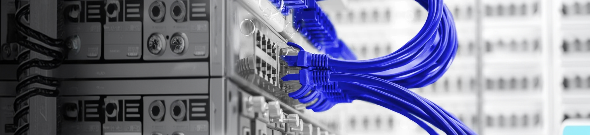 Nahaufnahme von blauen Netzwerkkabeln, die in einen Server oder Netzwerk-Switch eingesteckt sind.