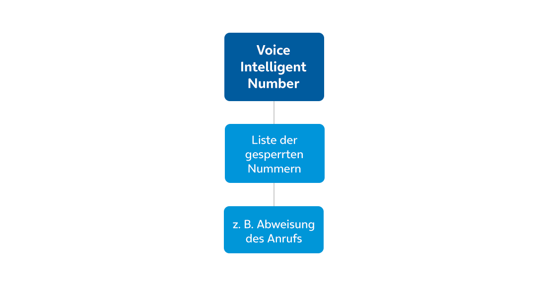 Sprachmehrwertdienste Erklärgrafik 3